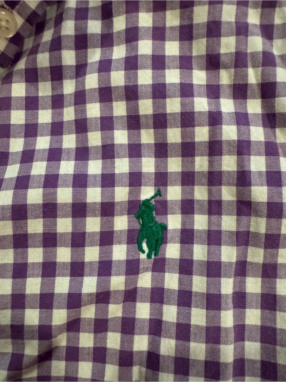 Ralph Lauren Boys' Purple and White Gingham Button-Down Shirt